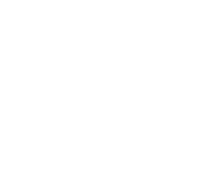 Cara 30 years logo White